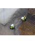 grafika